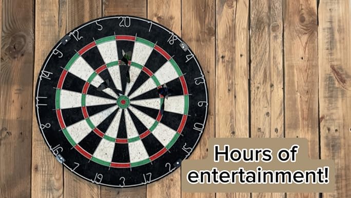 Amazon.com : Bristle Dart Board, Tournament Sized Indoor